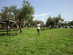 Immagine111